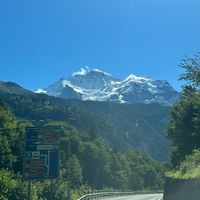 IMG_6731.jpeg